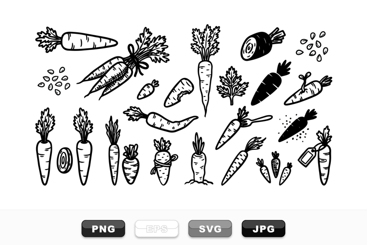 Carrot Clipart Image 7