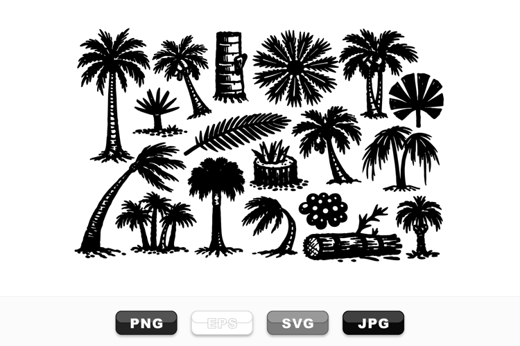 Tropical Clipart Image 11