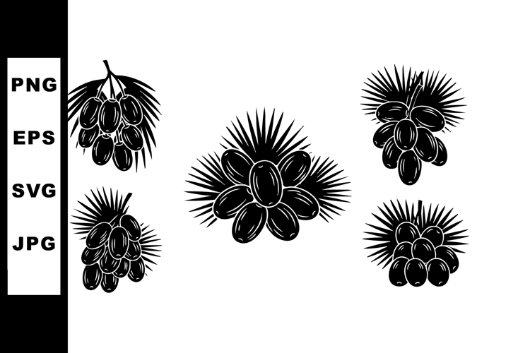 Palm fruit cluster vector design with spiky leaves black sil