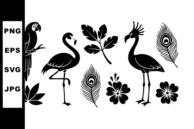 Exotic birds and tropical plants silhouette vector with parr