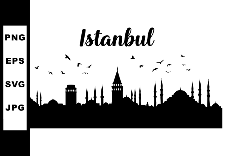 Istanbul city skyline silhouette with birds flying over hist