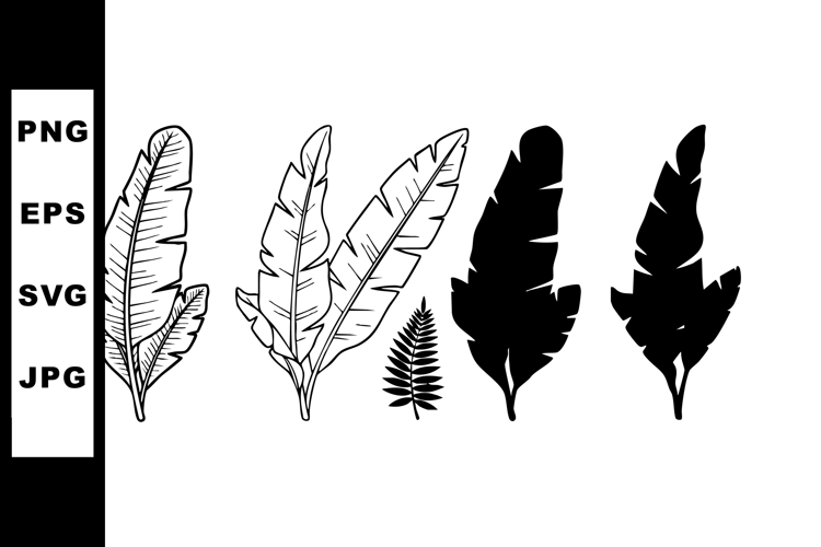 Feather Silhouette