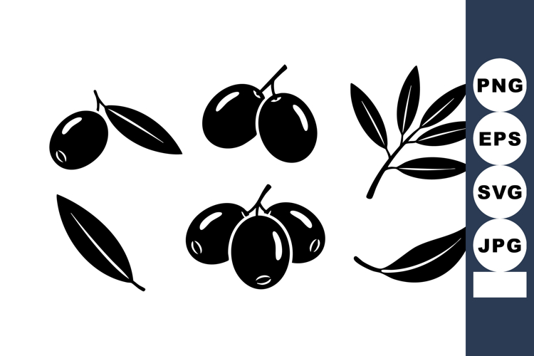 Black Olive Fruit and Leaf Vector Set for Natural Organic Fo