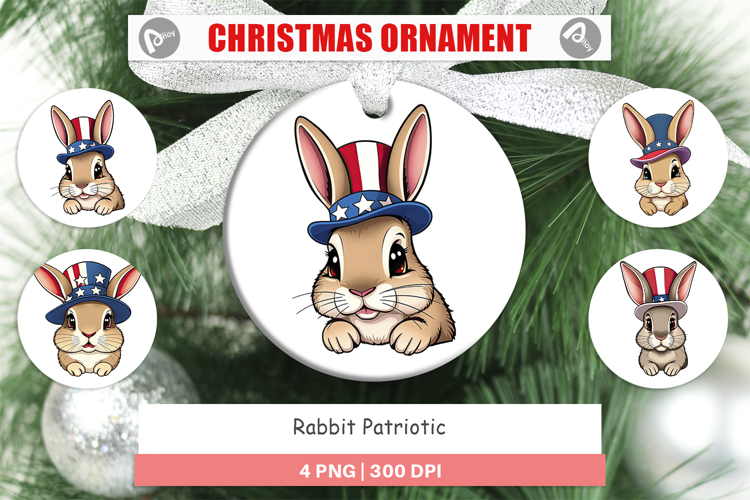 Rabbit Clipart Image 23