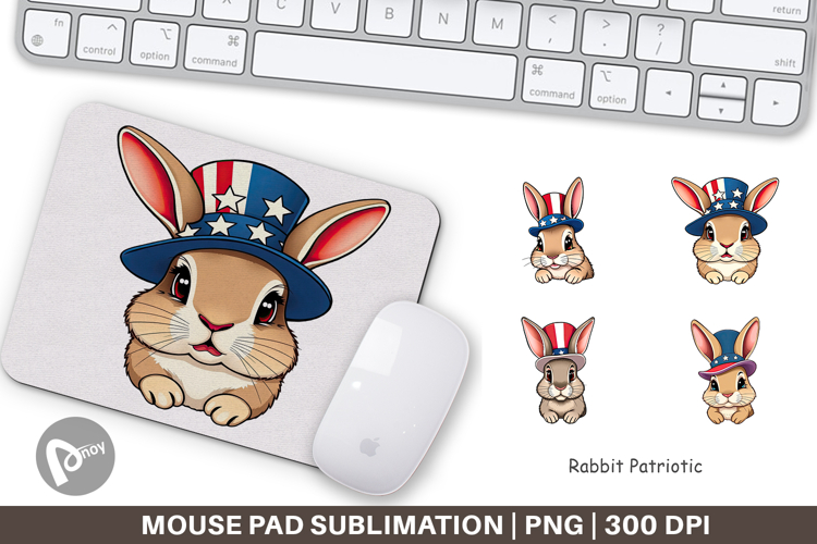 Rabbit Clipart Image 17