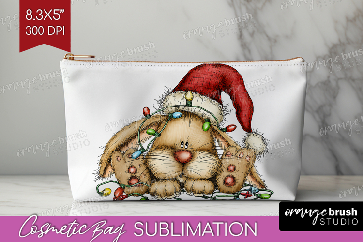 Rabbit Clipart Image 8