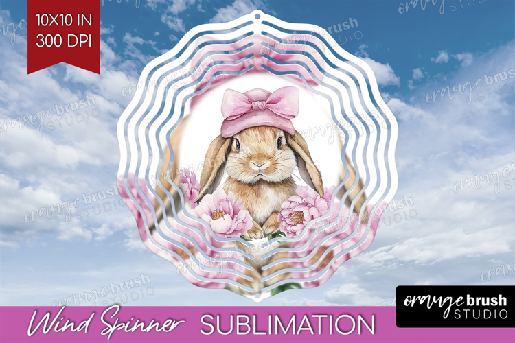 Rabbit Clipart Image 9
