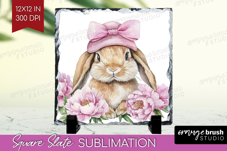 Rabbit Clipart Image 5