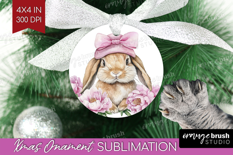 Rabbit Clipart Image 20