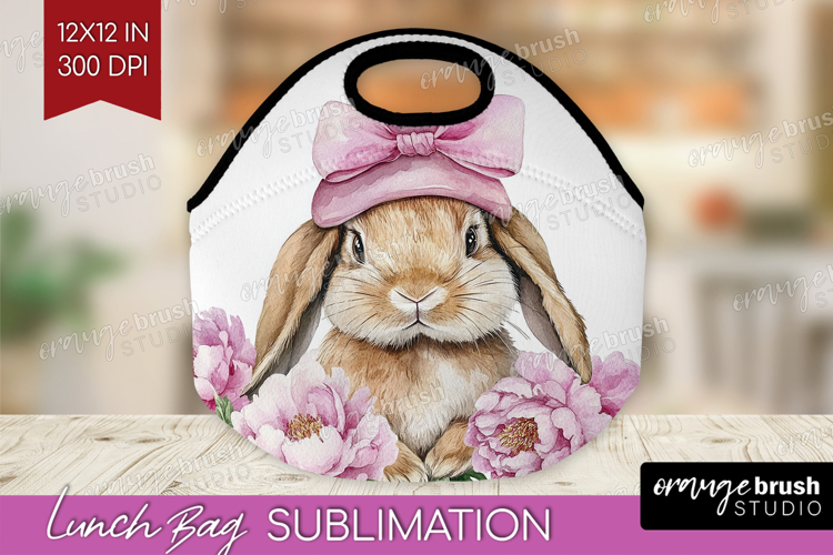 Rabbit Clipart Image 24