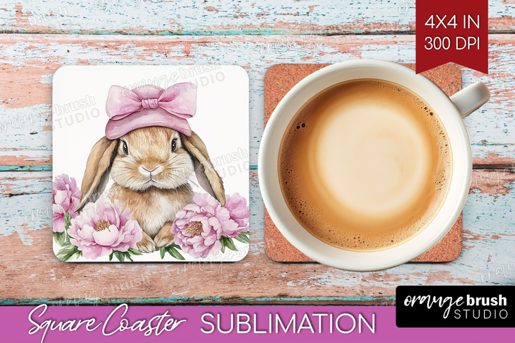 Rabbit Clipart Image 11