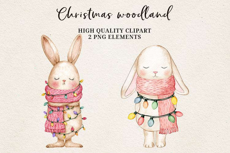 Christmas Woodland Bunnies | Cute Winter Bunny Clipart PNG