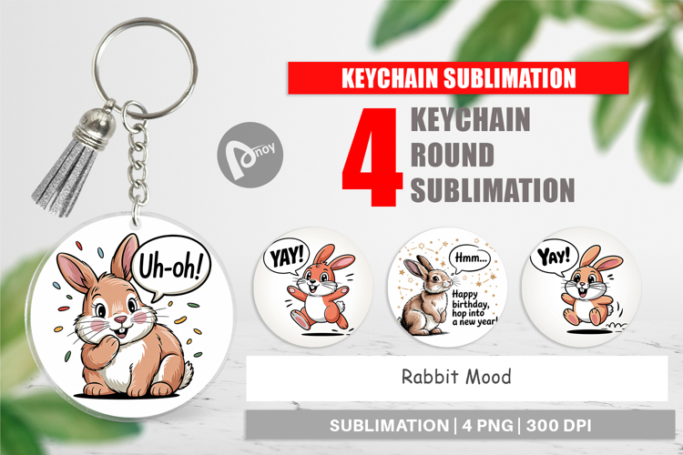 Rabbit Clipart Image 13