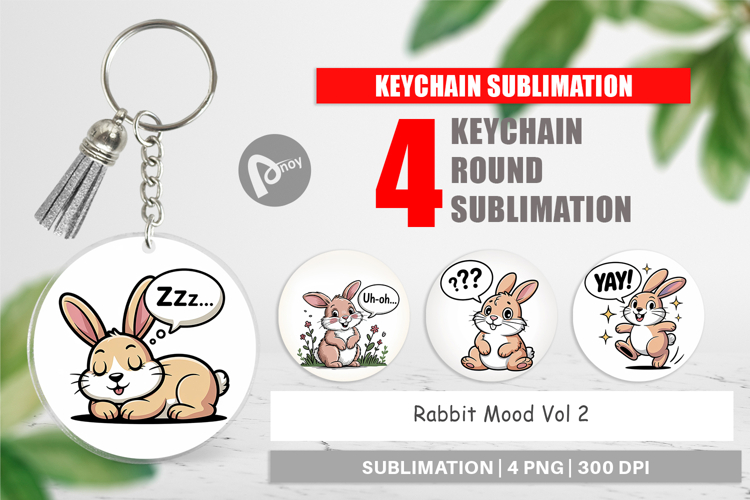 Rabbit Clipart Image 12