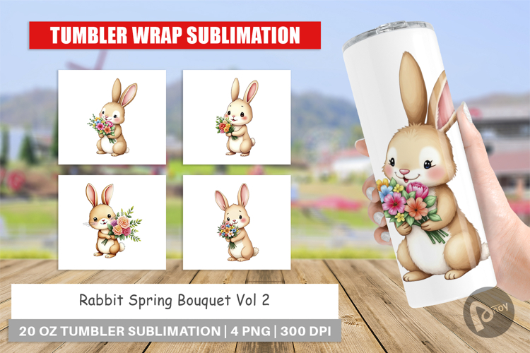 Rabbit Clipart Image 21