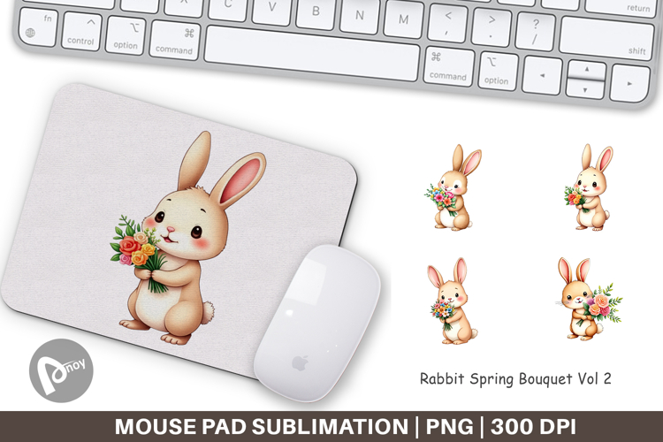 Rabbit Clipart Image 5