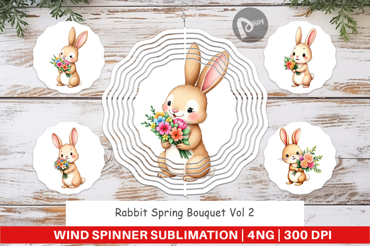 Rabbit Clipart Image 24