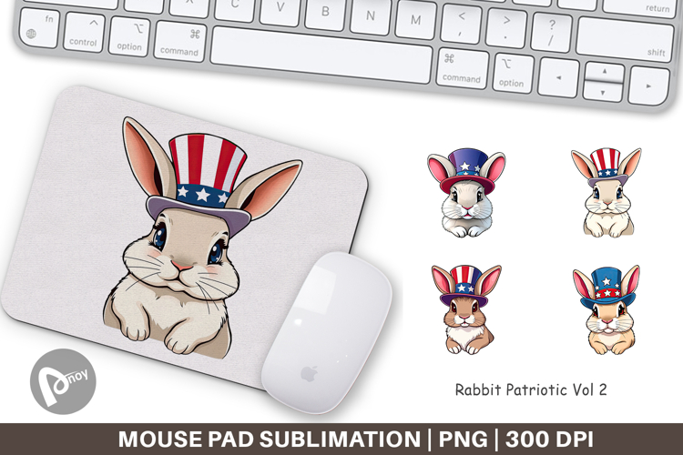 Rabbit Clipart Image 16