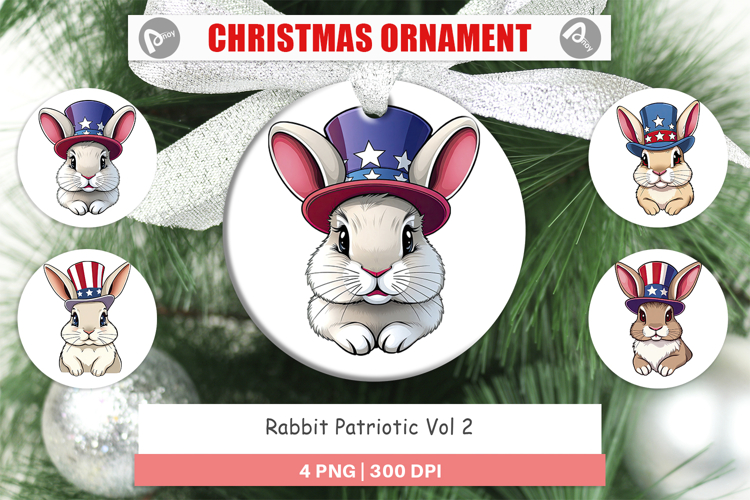 Rabbit Clipart Image 24