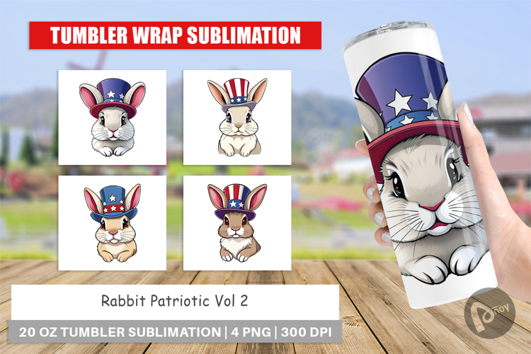 Rabbit Clipart Image 13