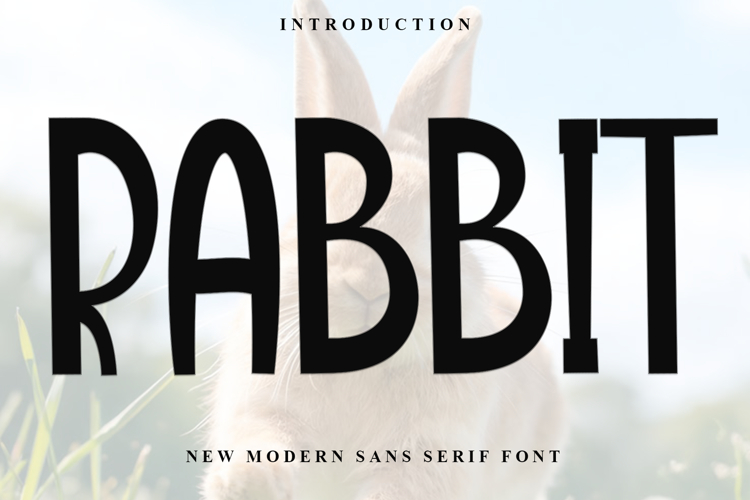 Rabbit