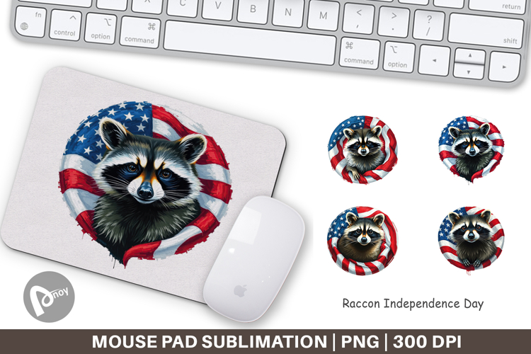 Raccoon Clipart Image 2