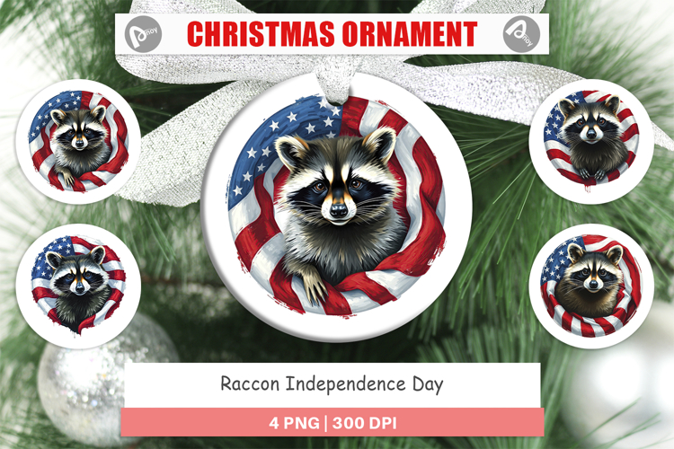 Raccoon Clipart Image 24