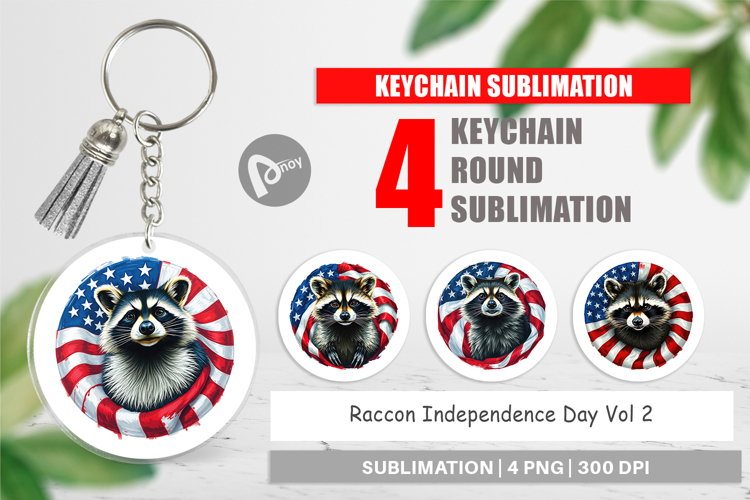 Raccoon Clipart Image 21