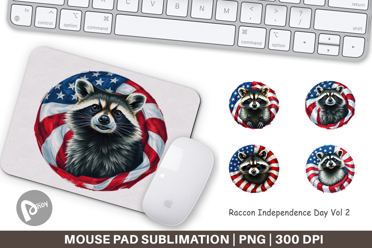 Raccoon Clipart Image 3