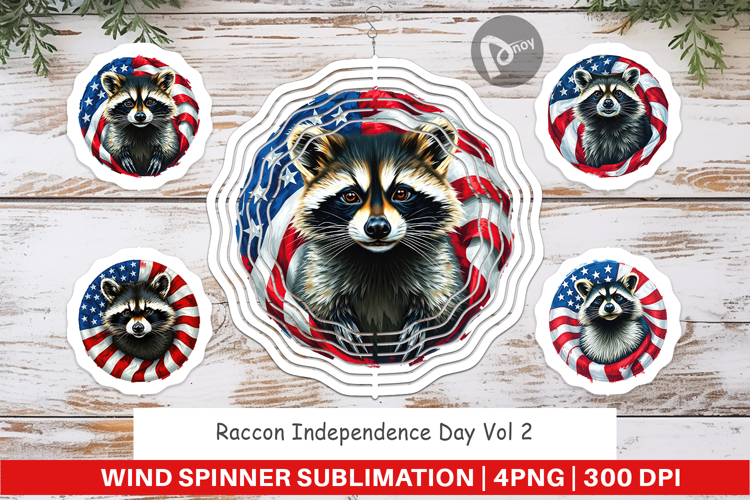 Raccoon Clipart Image 18