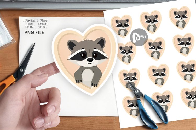 Raccoon Png