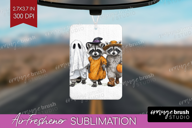 Raccoon Clipart Image 2