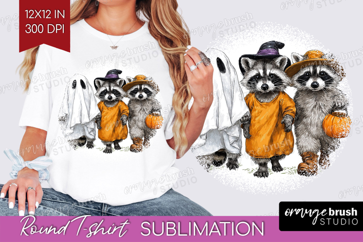 Raccoon Clipart Image 20