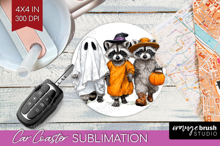 Raccoon Clipart Image 19