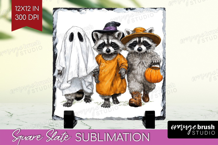 Raccoon Halloween Slate PNG Spooky Season Square Slate