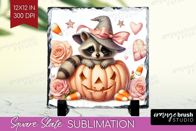 Raccoon Clipart Image 24