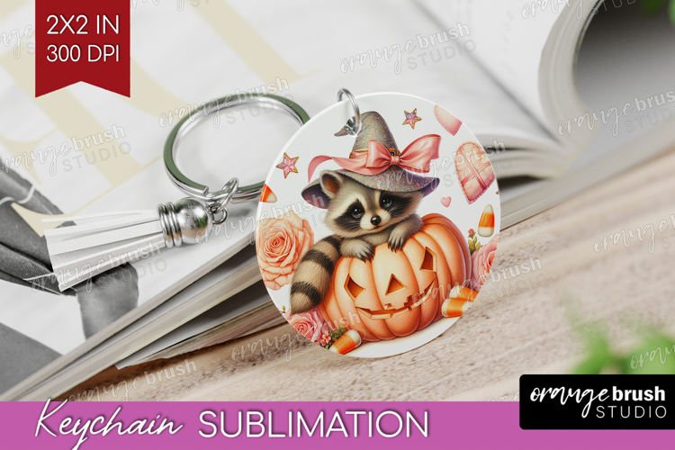 Raccoon Clipart Image 9