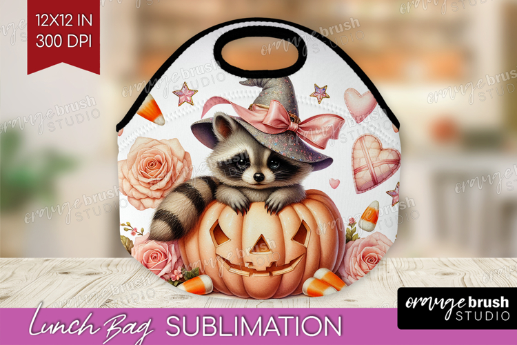 Raccoon Clipart Image 19