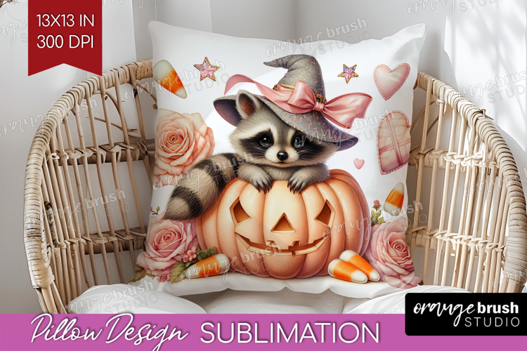 Raccoon Clipart Image 22