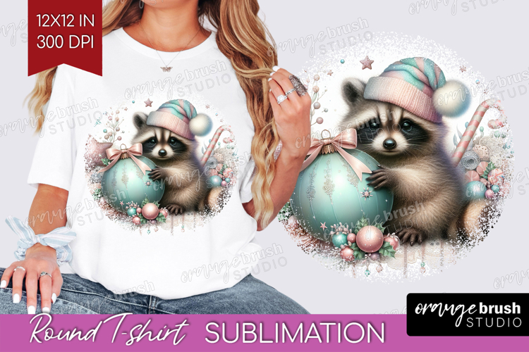 Raccoon Clipart Image 22