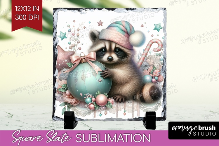 Raccoon Clipart Image 18