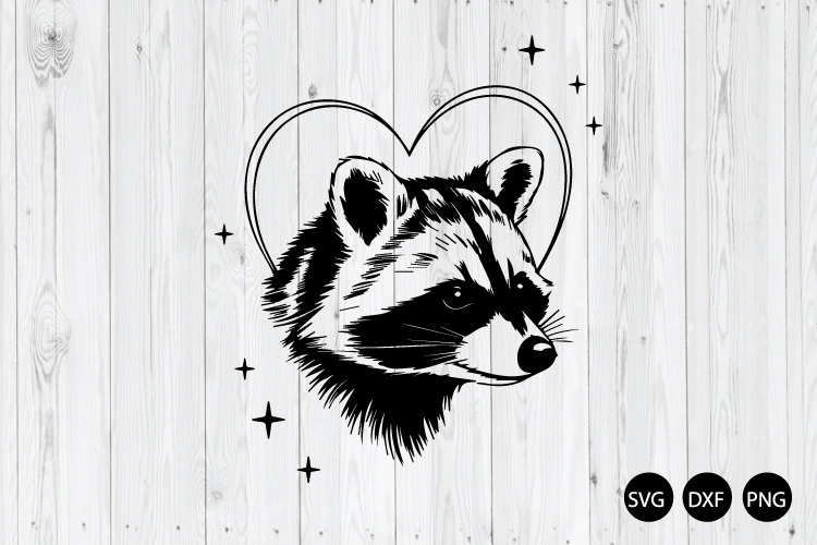 Raccoon Png Image 4