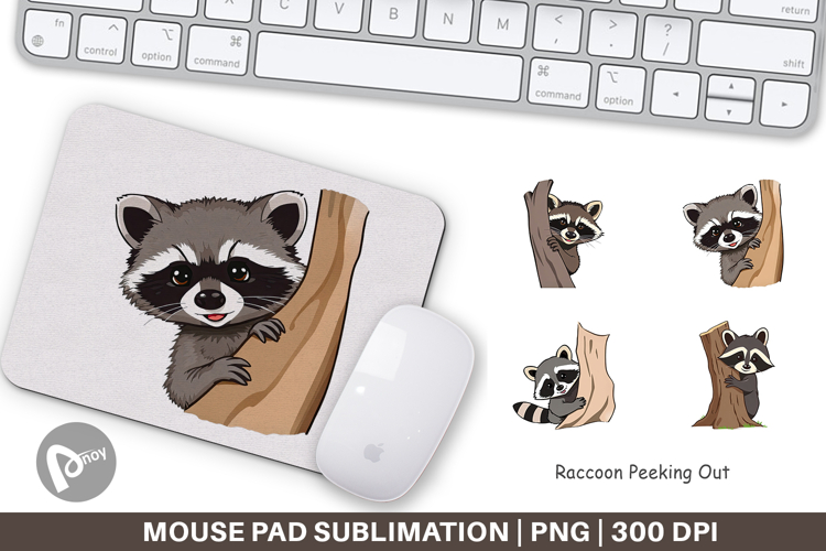 Raccoon Clipart Image 24