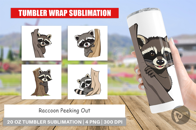 Raccoon Clipart Image 17