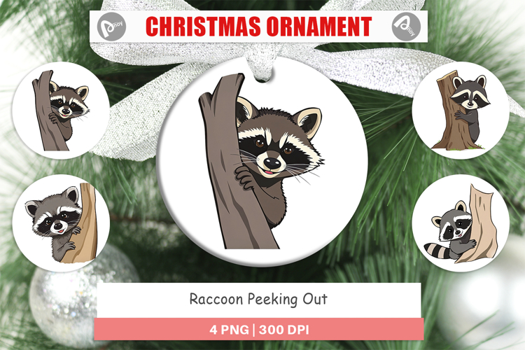 Raccoon Clipart Image 21