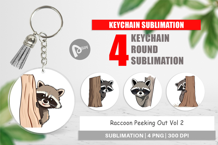 Raccoon Clipart Image 2