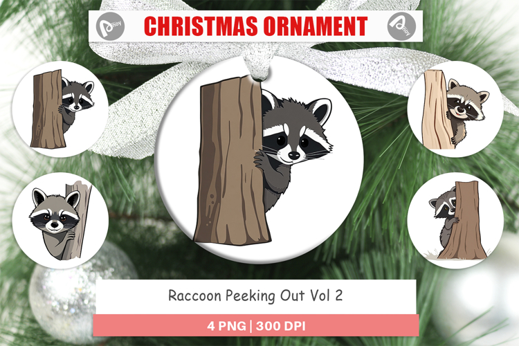 Raccoon Clipart Image 20