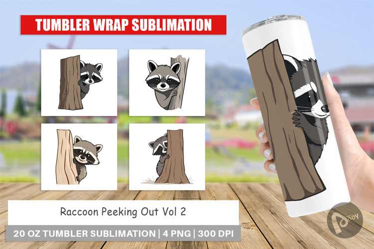 Raccoon Clipart Image 16