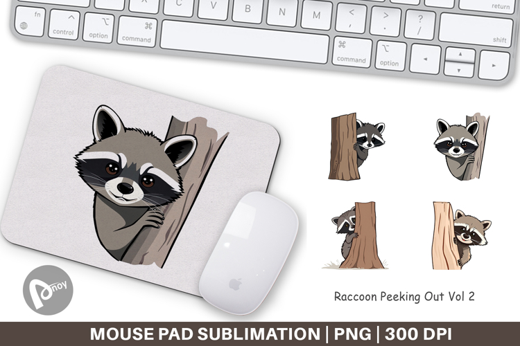 Raccoon Clipart