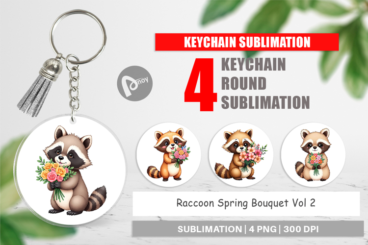 Raccoon Clipart Image 16